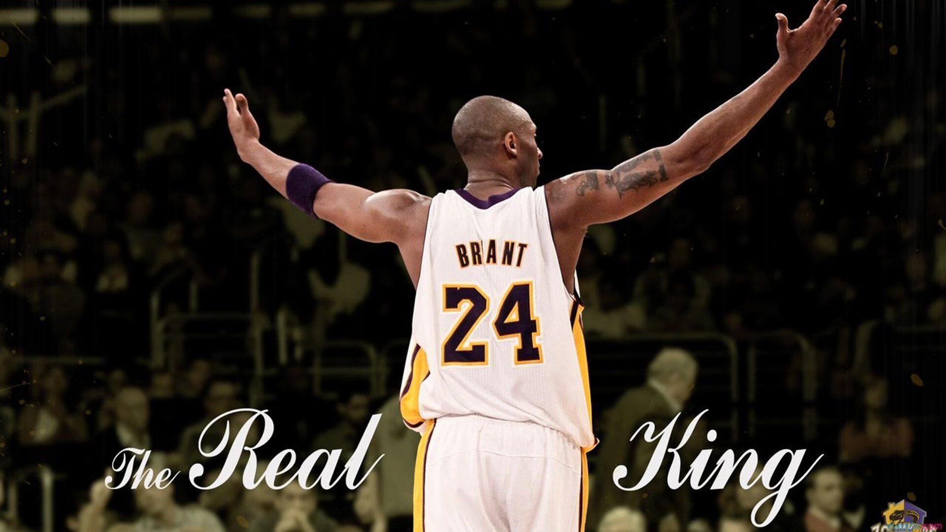 TheShy新星大胜表现惊艳，湖人未来可期！